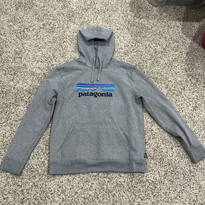 Mens Patagonia Hoodie